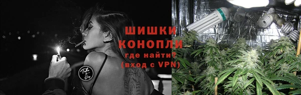 apvp Бородино
