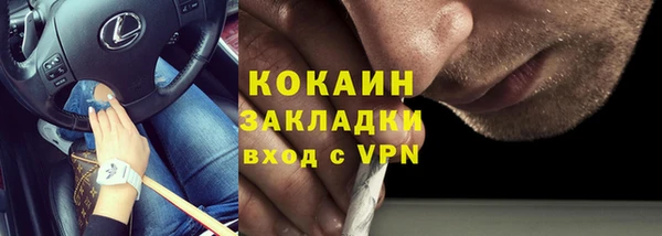 apvp Бородино