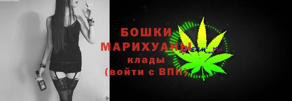 apvp Бородино