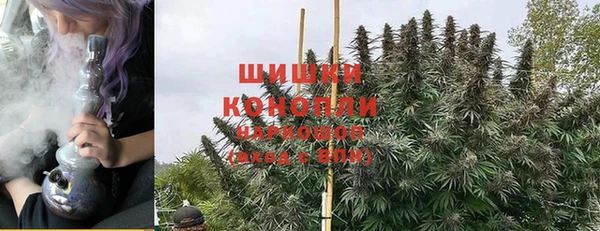 apvp Бородино