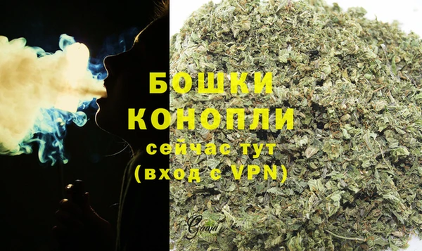 apvp Бородино