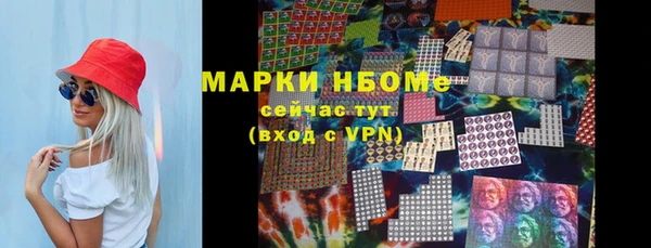 apvp Бородино