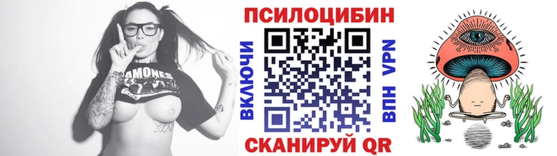 Псилоцибиновые грибы Magic Shrooms  купить   блэк спрут онион  Велиж 